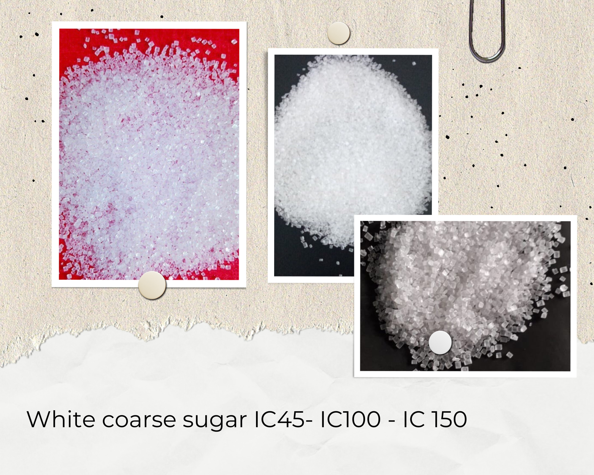 COARSE SUGAR
