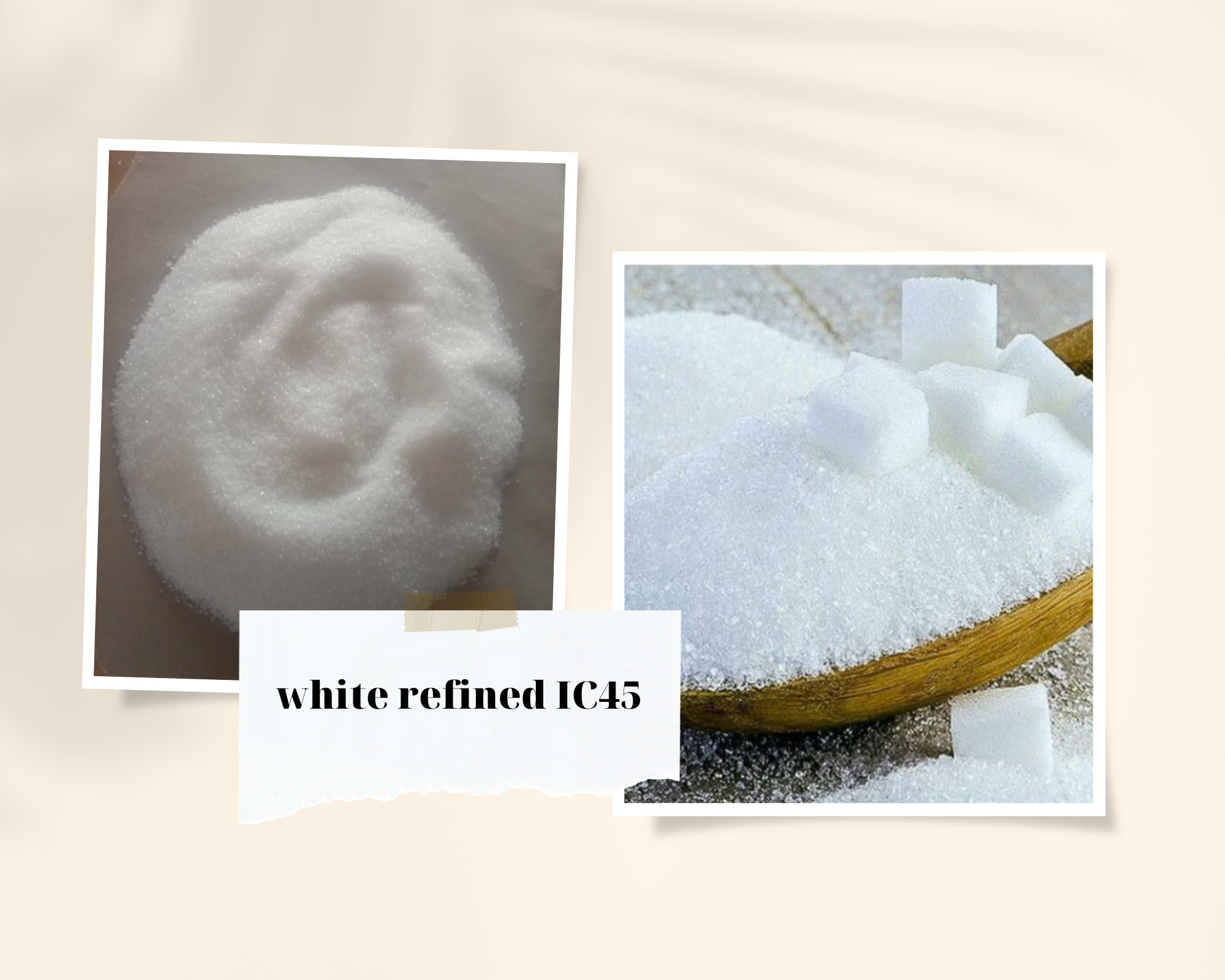 ICUMSA-45 WHITE REFINED SUGAR