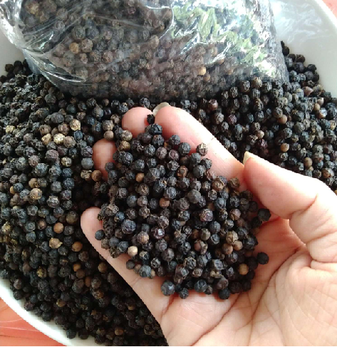 Pepper black
