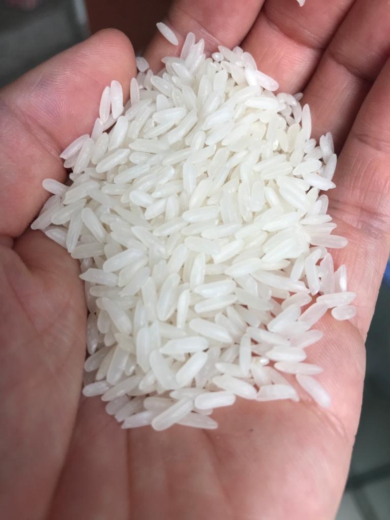 Thai Pathumthani Fragrant Rice 